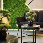 Park 4*