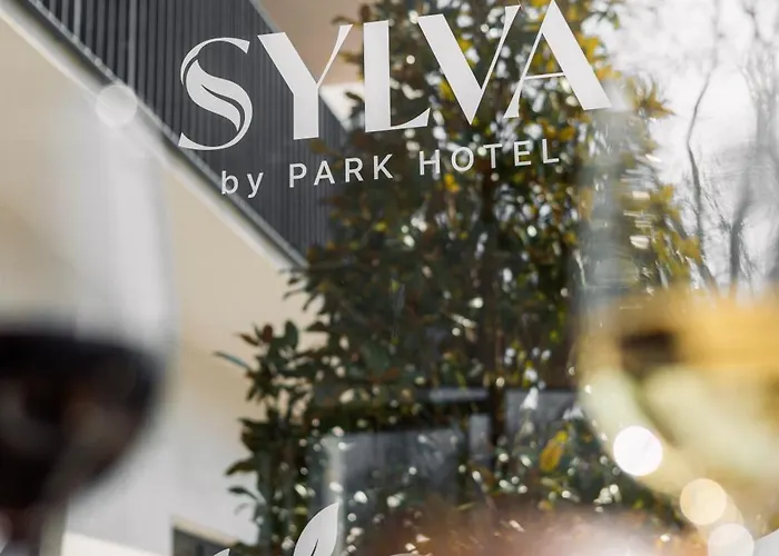 Park Hotel Mosonmagyaróvár